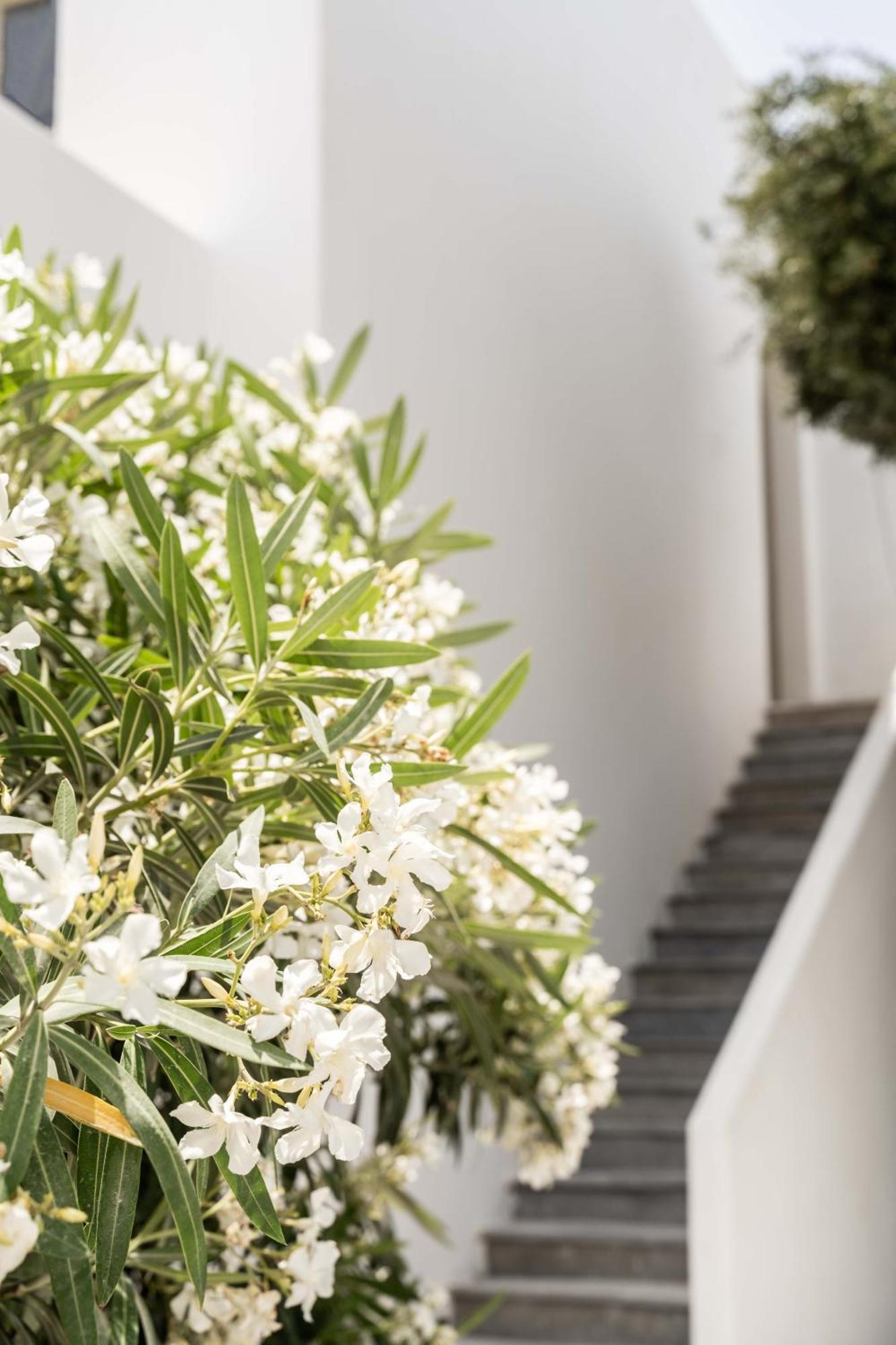 Philosophy Of Mykonos Boutique Hotel Mykonos Town Exterior foto