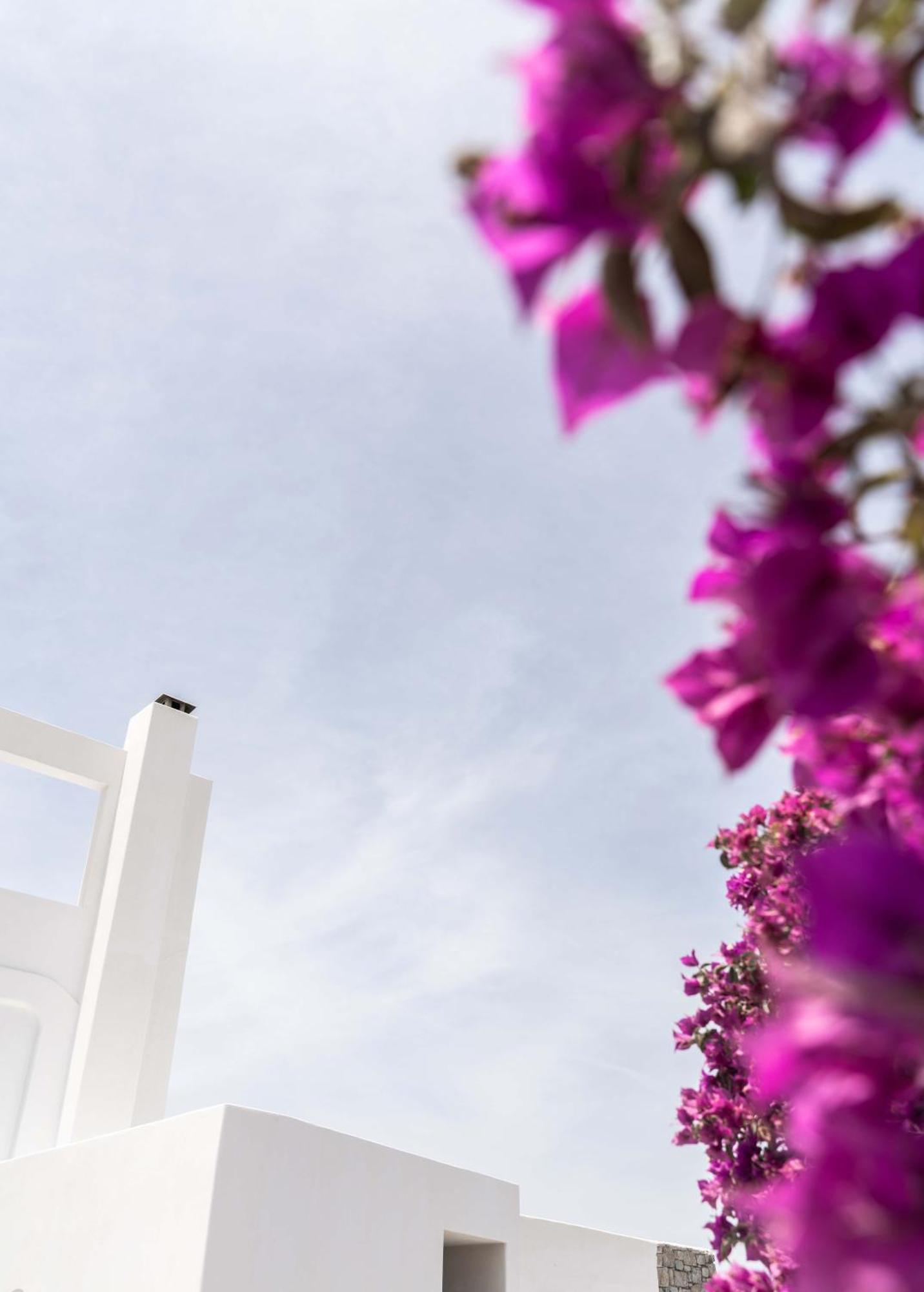 Philosophy Of Mykonos Boutique Hotel Mykonos Town Exterior foto